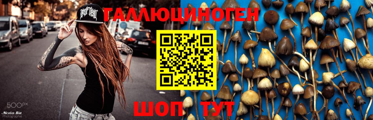 Галлюциногенные грибы мицелий Саянск